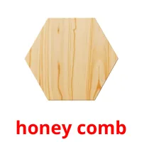 honey comb ansichtkaarten