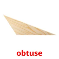 obtuse picture flashcards