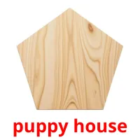 puppy house ansichtkaarten
