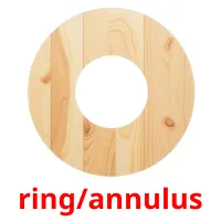ring/annulus picture flashcards