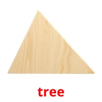 tree ansichtkaarten