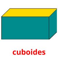 cuboides card for translate