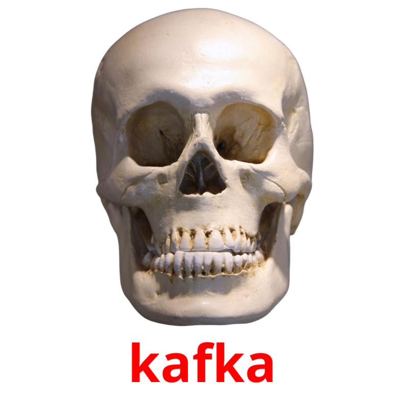 kafka picture flashcards