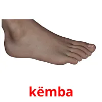 këmba Tarjetas didacticas