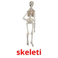 skeleti Tarjetas didacticas