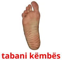 tabani këmbës Tarjetas didacticas