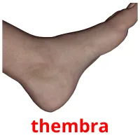 thembra Tarjetas didacticas