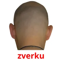 zverku Tarjetas didacticas