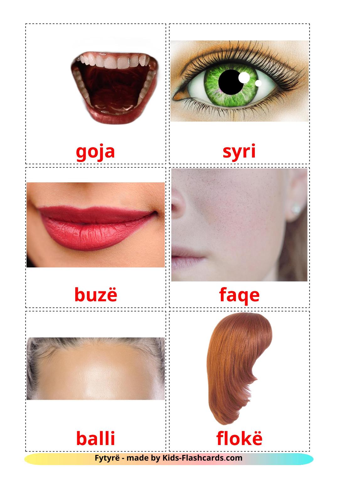 Gesicht - 20 kostenlose, druckbare Albanisch Flashcards 