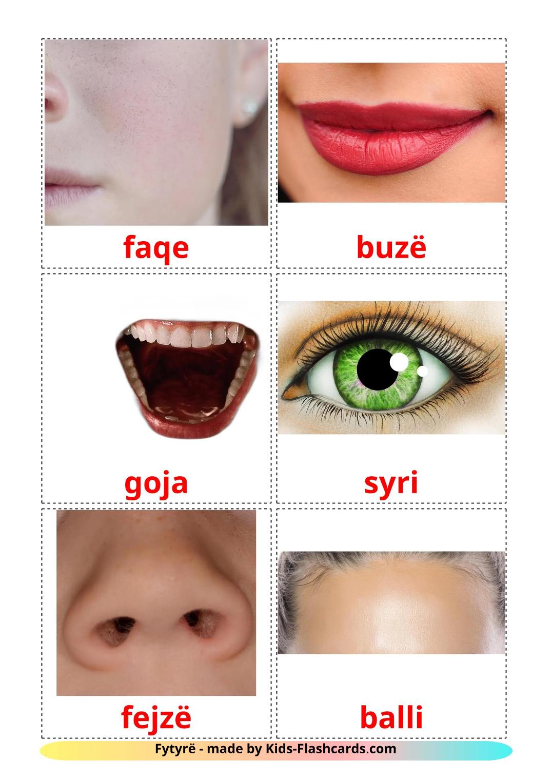 Face - 20 Free Printable albanian Flashcards 