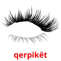 qerpikët picture flashcards