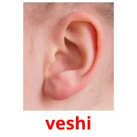 veshi picture flashcards