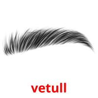 vetull picture flashcards