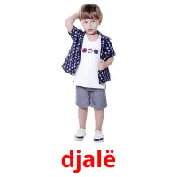 djalë picture flashcards