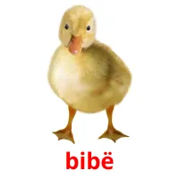 bibë picture flashcards