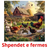 Shpendet e fermes picture flashcards