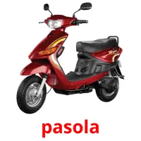 pasola карточки энциклопедических знаний
