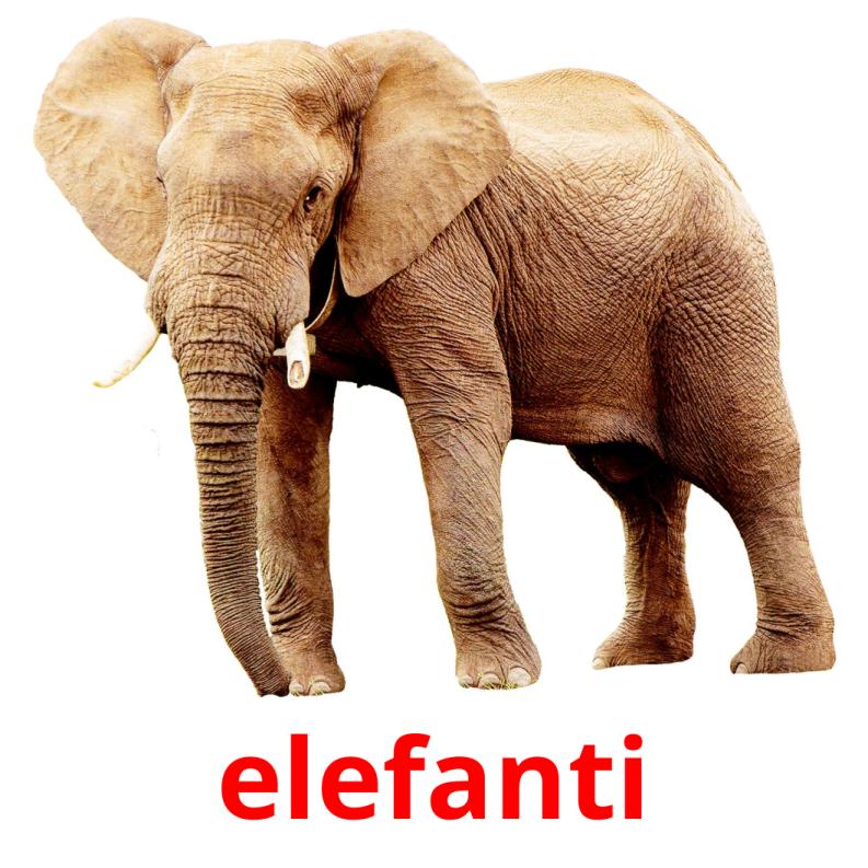elefanti Tarjetas didacticas