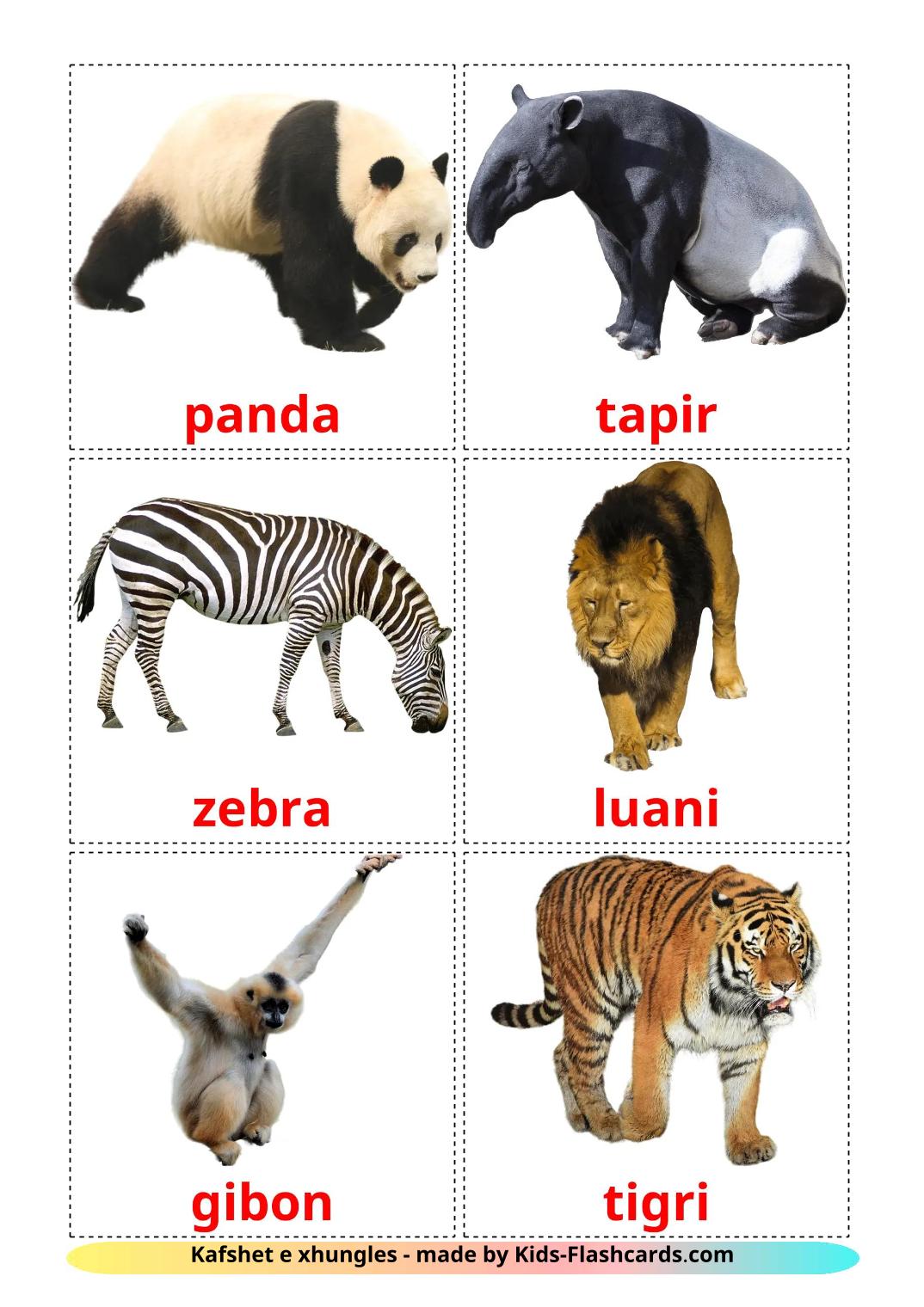 Animais da Selva - 22 Flashcards albanêses gratuitos para impressão