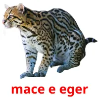 mace e eger cartões com imagens