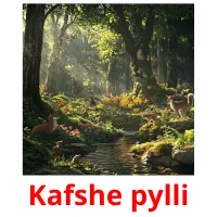 Kafshe pylli picture flashcards