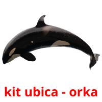 kit ubica - orka Bildkarteikarten