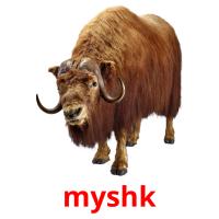 myshk card for translate