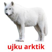 ujku arktik card for translate