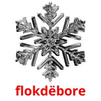 flokdëbore picture flashcards