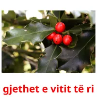 gjethet e vitit të ri picture flashcards