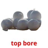 top bore picture flashcards