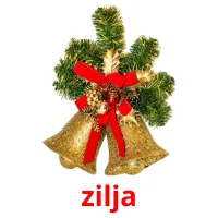 zilja picture flashcards