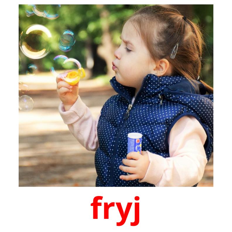 fryj picture flashcards