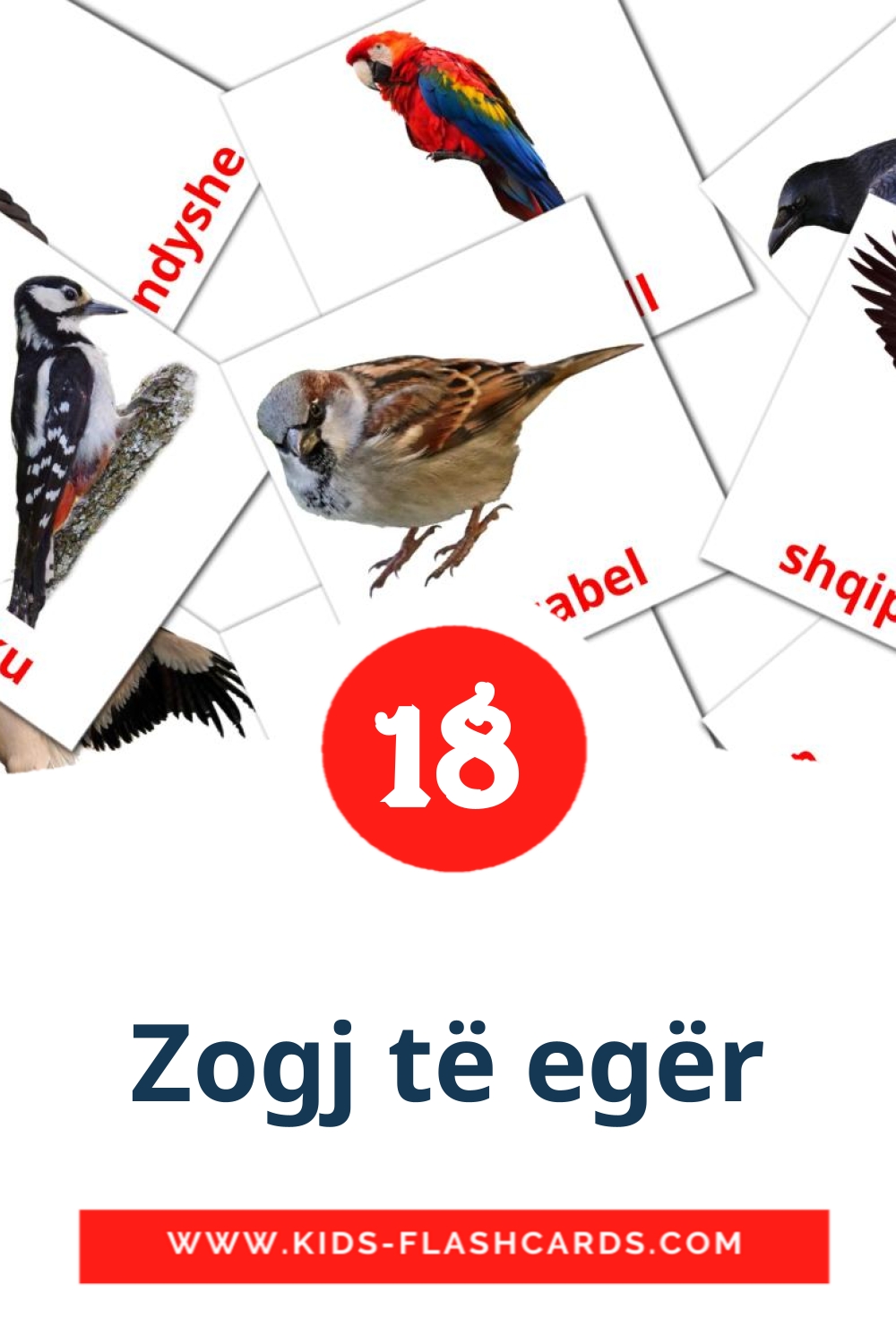 18 cartes illustrées de Zogj të egër pour la maternelle en albanais
