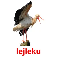 lejleku picture flashcards