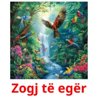 Zogj të egër picture flashcards