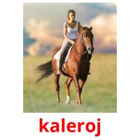 kaleroj card for translate