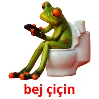 bej çiçin Bildkarteikarten