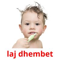 laj dhembet picture flashcards