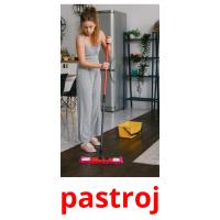 pastroj card for translate