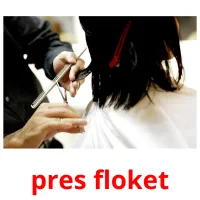 pres floket Bildkarteikarten