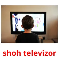 shoh televizor Bildkarteikarten