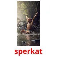 sperkat Bildkarteikarten