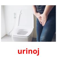 urinoj picture flashcards