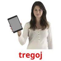 tregoj Tarjetas didacticas