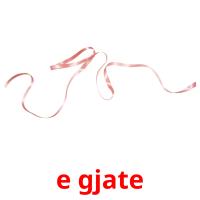 e gjate picture flashcards
