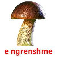 e ngrenshme picture flashcards