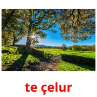 te çelur ansichtkaarten