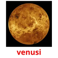 venusi picture flashcards