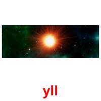 yll picture flashcards